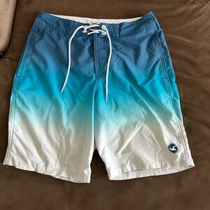 Hollister Blue and White Board Shorts with Gradient Design